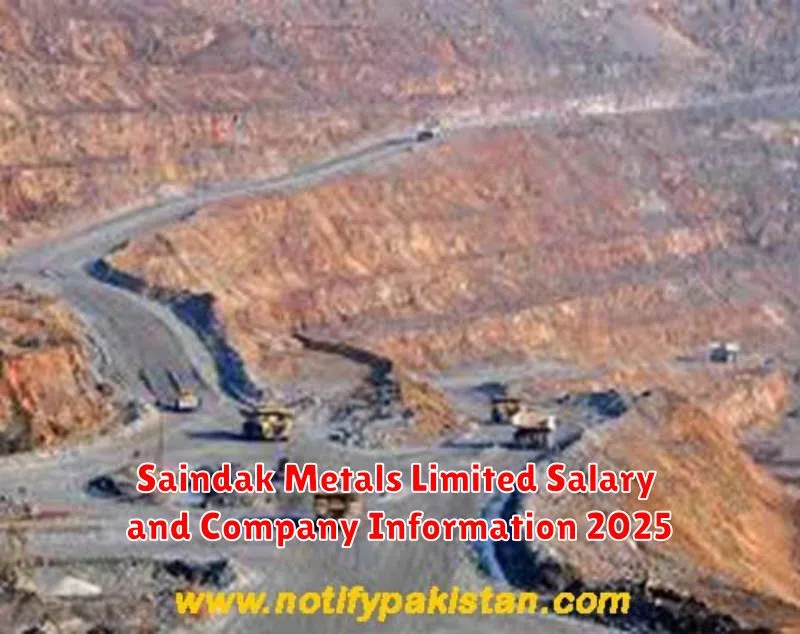 Saindak Metals Limited Salary and Company Information 2025