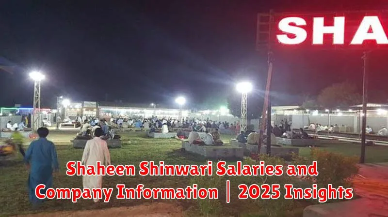 Shaheen Shinwari Salaries and Company Information | 2025 Insights