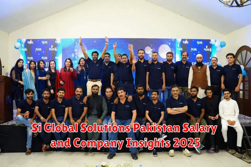 Si Global Solutions Pakistan Salary and Company Insights 2025