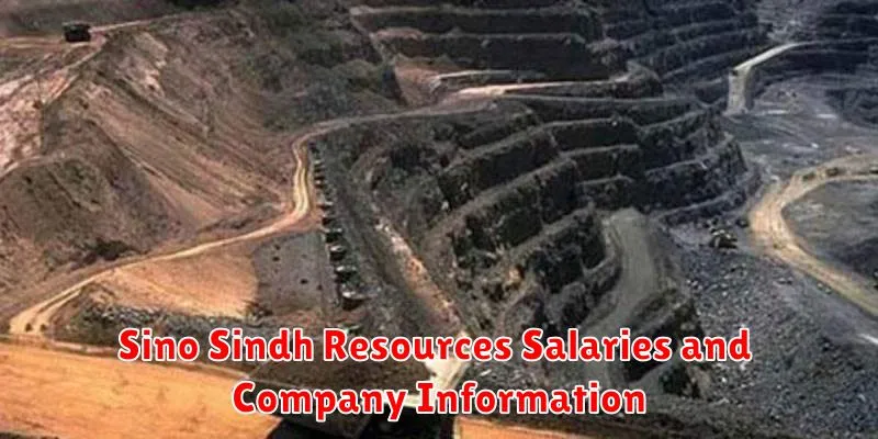 Sino Sindh Resources Salaries and Company Information