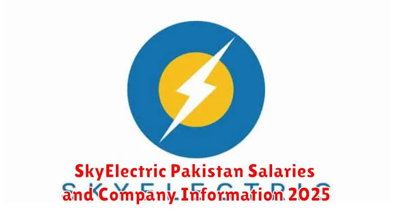 SkyElectric Pakistan Salaries and Company Information 2025