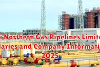 Sui Northern Gas Pipelines Limited Salaries and Company Information 2025