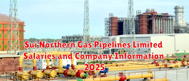Sui Northern Gas Pipelines Limited Salaries and Company Information 2025