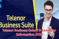 Telenor Business Salary & Company Information 2025