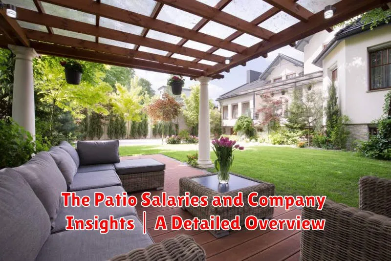 The Patio Salaries and Company Insights | A Detailed Overview