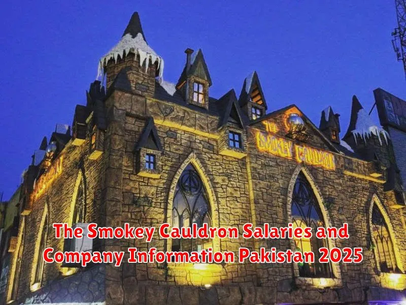 The Smokey Cauldron Salaries and Company Information Pakistan 2025