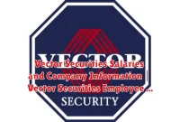 Vector Securities Salaries and Company Information | Vector Securities Employee Reviews