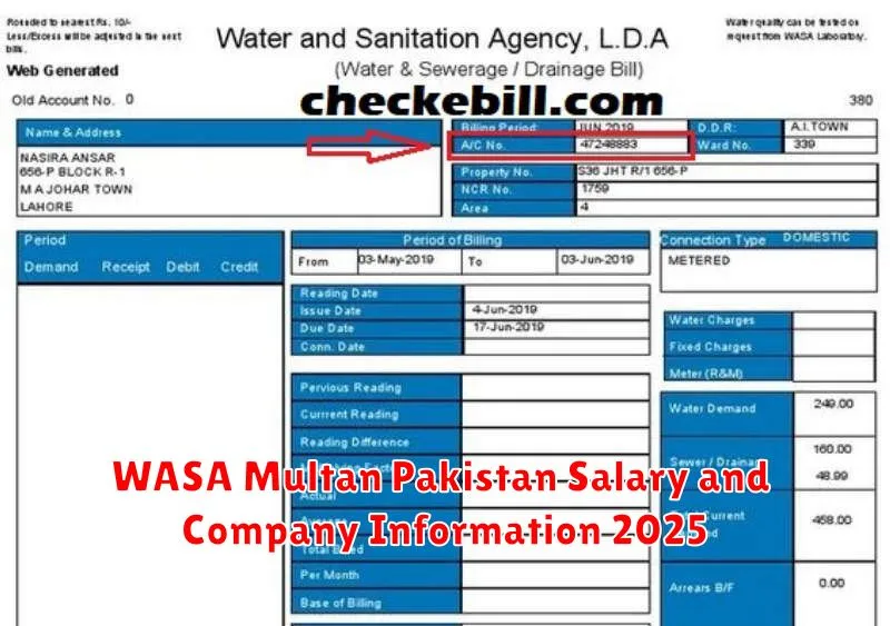 WASA Multan Pakistan Salary and Company Information 2025